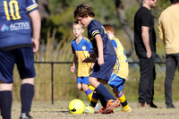 Miniroos U9-Toronto Awaba  JFC 09/01 v Lake Macquarie City 09/01