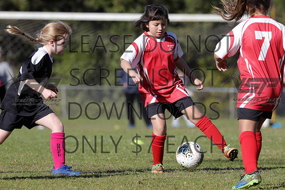 E-066