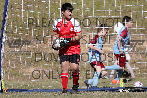 D-029