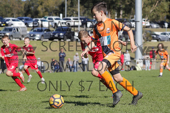 D-066