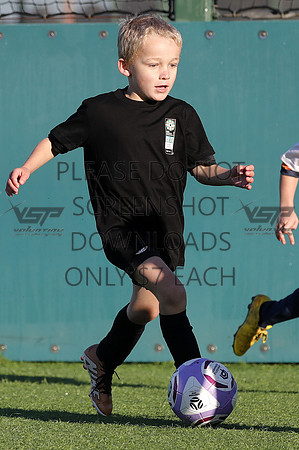 A-010