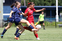 New Lambton v Broadmeadow Magic