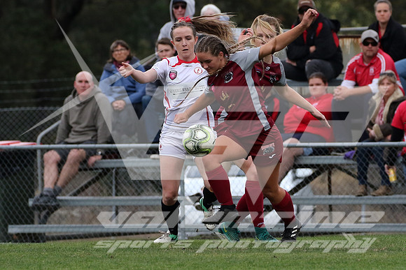 W-081