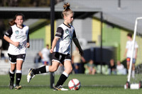 12 Girls - Warners Bay v Maitland FC