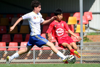 Broadmeadow Magic v Newcastle Olympic