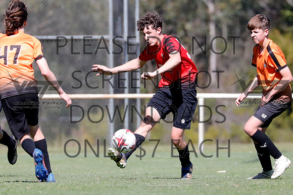 D-082