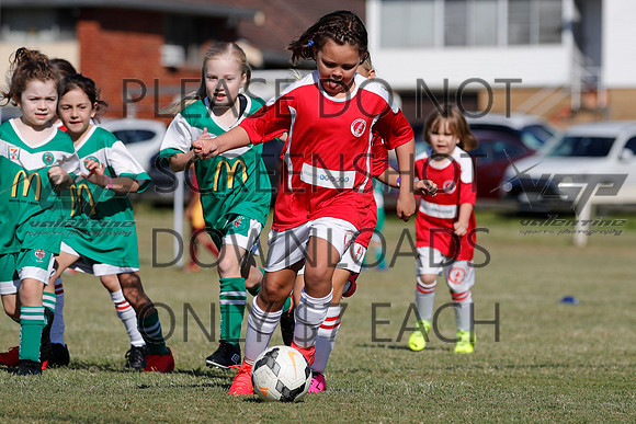 M-008