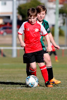 MiniRoos 10s - South Cardiff v Kahibah FC