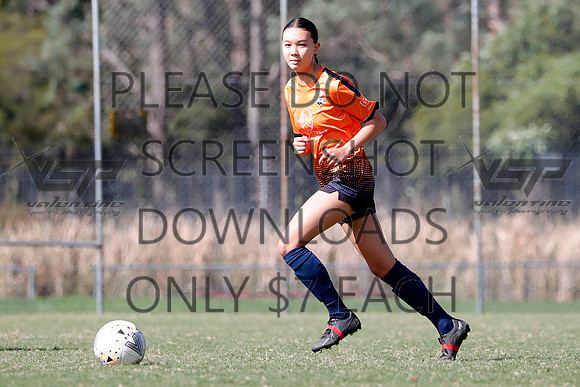 C-042