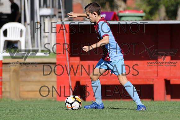 C-008