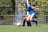 Charlestown Azzuri v New Lambton