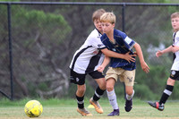 Maitland FC Black v New Lambton Navy