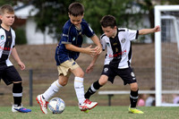 Maitland FC White v New Lambton Gold