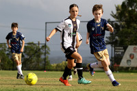 Maitland FC White v New Lambton Gold