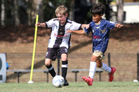 Maitland FC Black v New Lambton Navy
