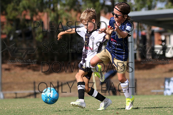H-010