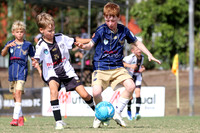 Maitland FC White v New Lambton Gold