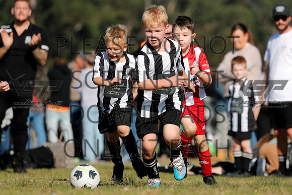 C-008