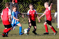 Mini Roos 10s - South Cardiff v Garden Suburb