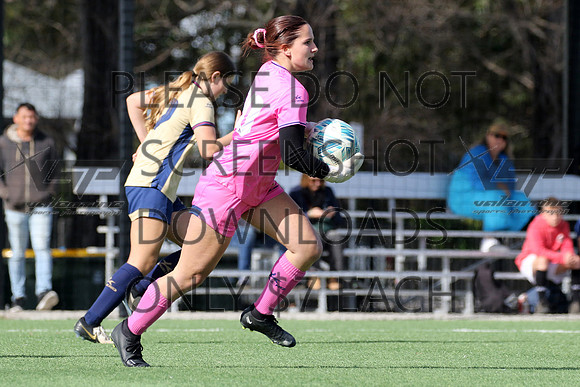 C-232