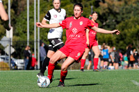 Cup SF - Broadmeadow Magic v Maitland FC