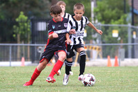 Weston Bears Black v Edgeworth Eagles Red
