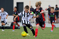 Weston Bears White v Edgeworth Eagles Black