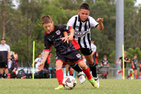 Weston Bears White v Edgeworth Eagles Black
