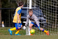 Toronto Awaba  JFC 08/01 v Westlakes 08/01