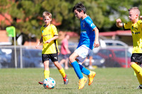 E-015