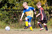 Miniroos U7-Toronto Awaba  JFC 07/06 v Edgeworth JFC 07/06