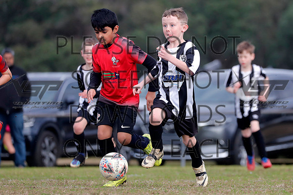 C-035