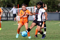 Maitland FC v Valentine FC