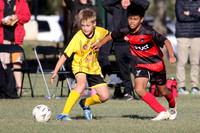 Thornton Redbacks v Cessnock City