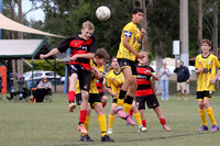 Thornton Redbacks v Cessnock City