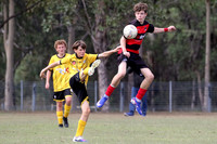 Thornton Redbacks v Cessnock City
