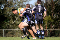 Hinton Hornets v Morpeth Bulls