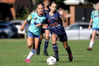New Lambton v Charlestown Azzurri