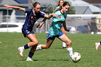 New Lambton v Charlestown Azzurri