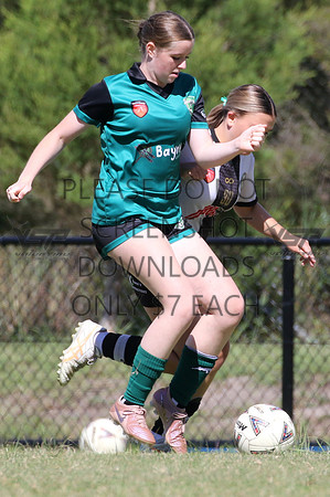 E-154