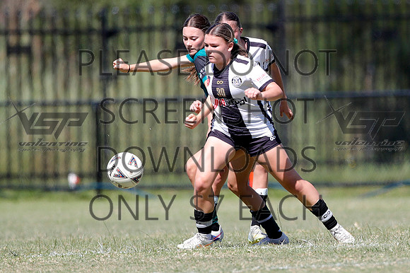 E-196