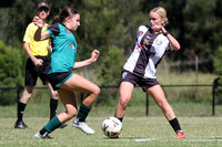 Kahibah FC v Maitland FC