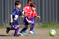 Lochinvar Rovers 05/01 v Lochinvar Rovers 05/02