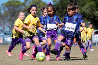 Lochinvar Rovers 07/03 v Lochinvar Rovers 07/02