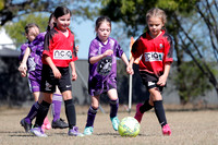 Lochinvar Rovers 08G/01 v Thornton JFC 08G/01