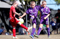 Lochinvar Rovers 09/02 v Bellbird JFC 09/01