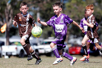 Lochinvar Rovers 09/01 v Bolwarra Lorn 09/01