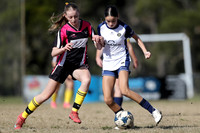Edgeworth JSC 16G/01 v Lake Macquarie City 16G/01