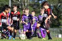 A-017