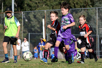 Edgeworth JSC 06/04 v Westlakes FC 06/03